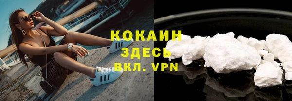 стафф Алзамай
