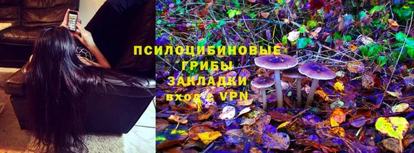 стафф Алзамай