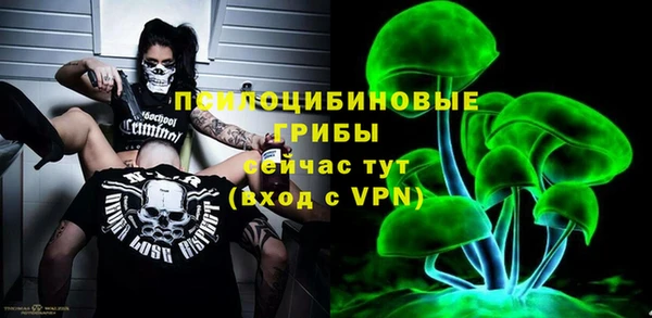 стафф Алзамай