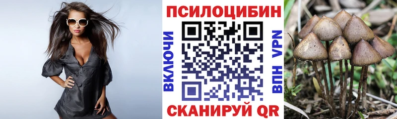 Псилоцибиновые грибы Psilocybine cubensis хочу наркоту Выкса