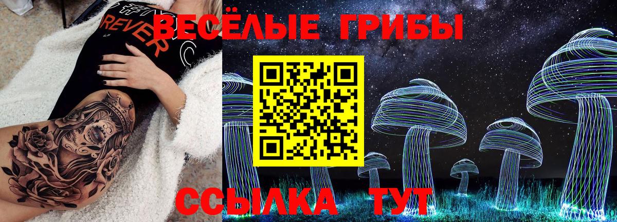 Галлюциногенные грибы прущие грибы  Галлюциногенные грибы ЛСД  Вход с VPN  Выкса 