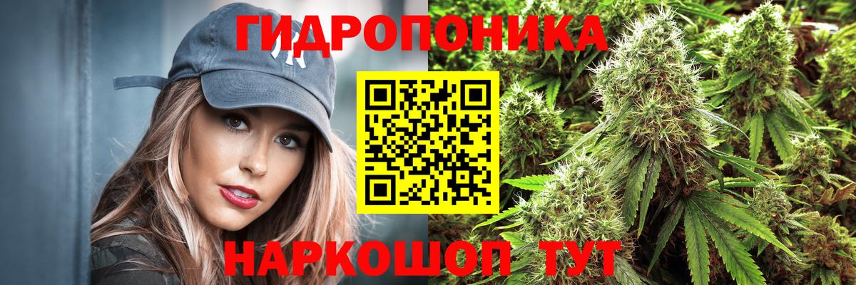 Каннабис White Widow  Конопля ГИДРОПОН  Выкса  Бошки Шишки SATIVA & INDICA 